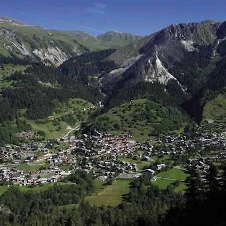 Evasion Alpine - Vue Imprenable & Confort Moderne La Plagne