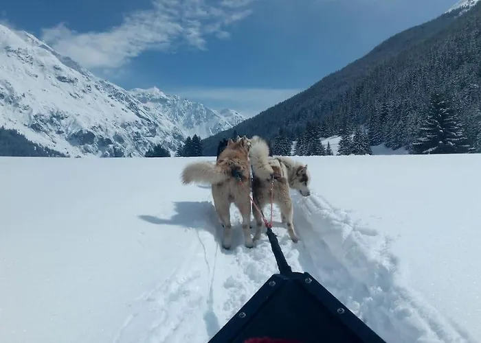 Evasion Alpine - Vue Imprenable & Confort Moderne La Plagne